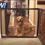 Stoper pregrada za pse