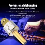 Bežični karaoke mikrofon WS-858L - Slika 2